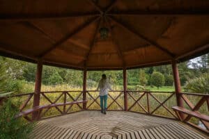 Mujer viendo parque Nacional Puyehue