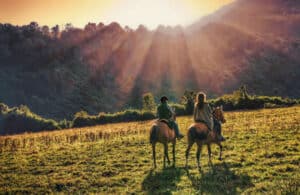 Cabalgata Parques Nacionales