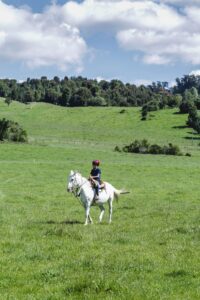 Niño andando en Caballo