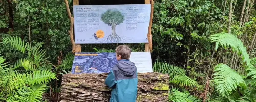 Niño viendo señalética de senderos en Parque Nacional Puyehue